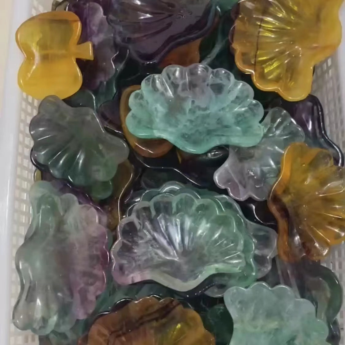 Fluorita ŝelo bovlo, prezo je kg
