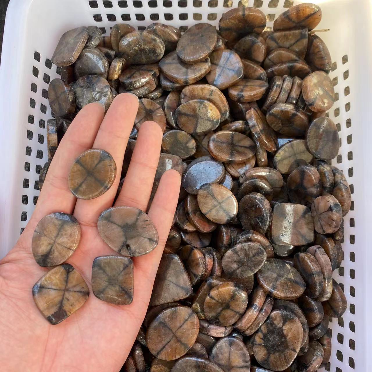 Chiastolite palmŝtono, prezo per komputilo