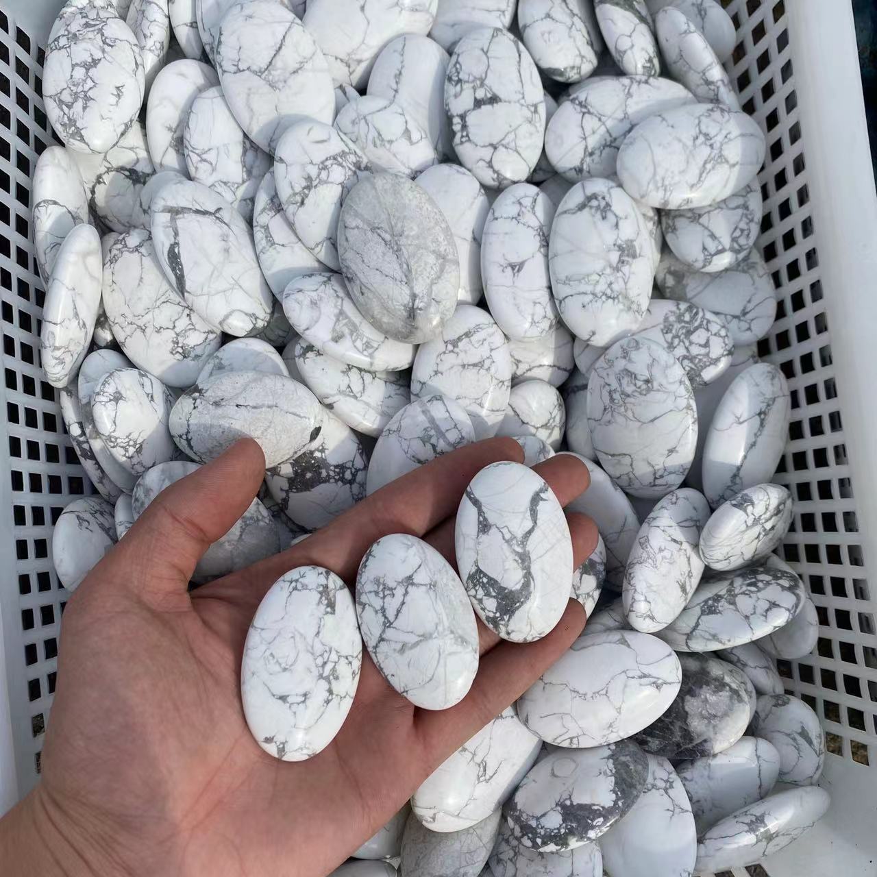 Howlite Palm Stone, price by kg