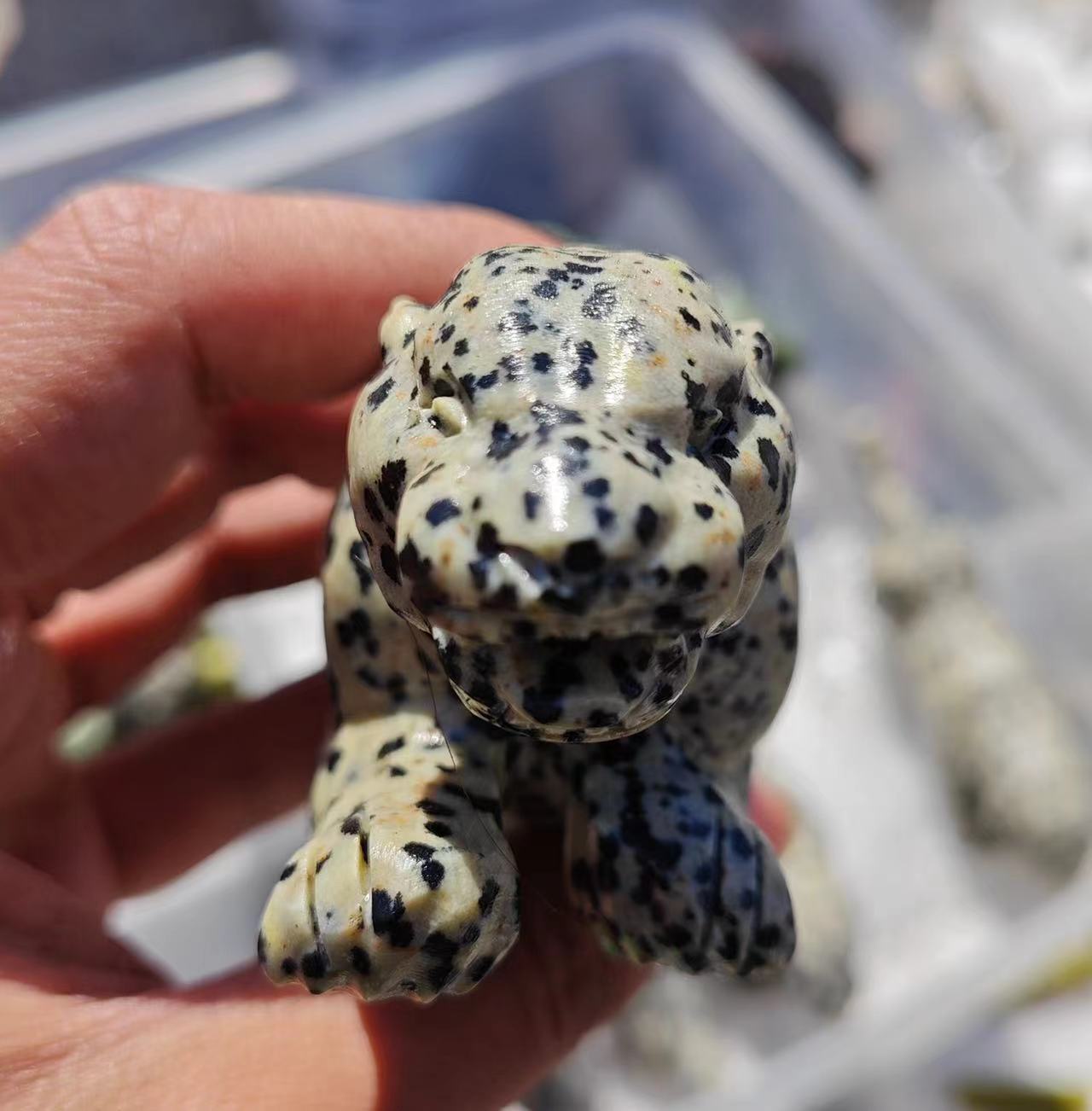 15cm Leopardaj ĉizadoj, prezo per komputilo