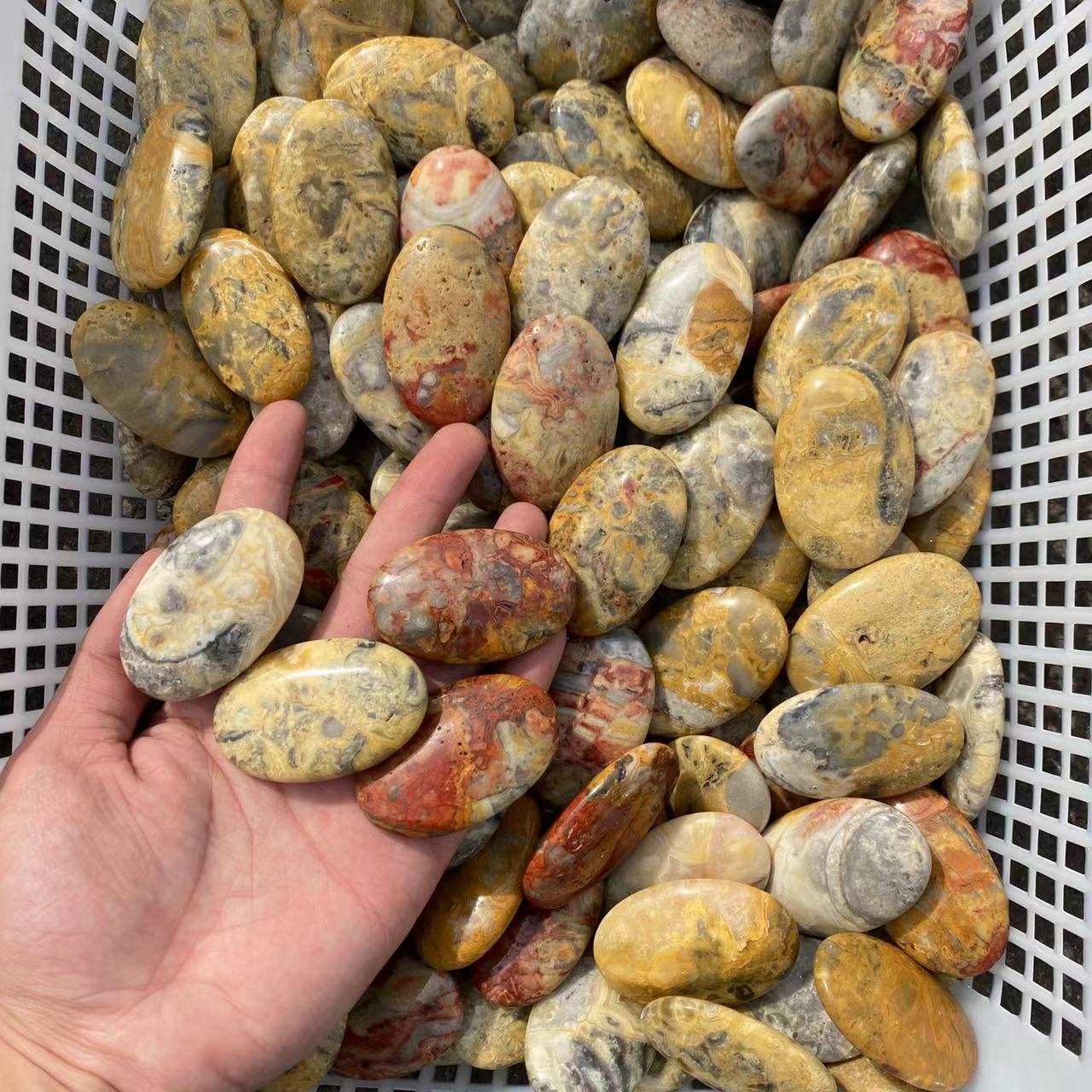 Crazy Agate Palm Stone, price by kg