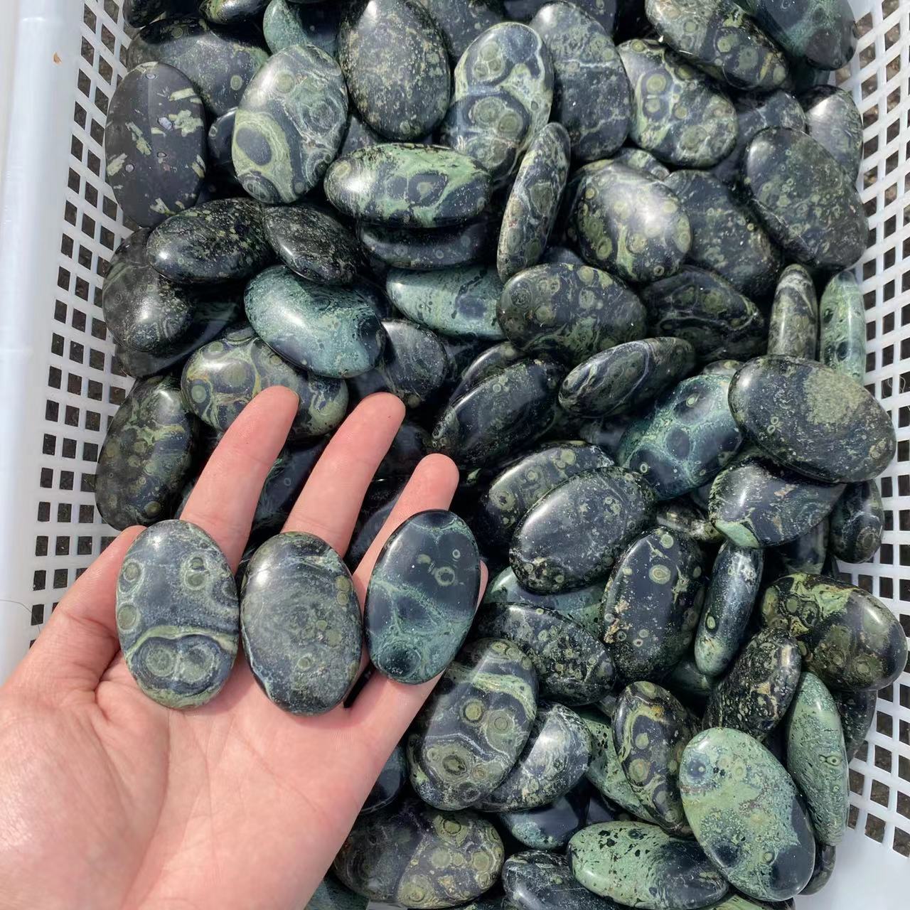 kambaba palm stone, price by kg