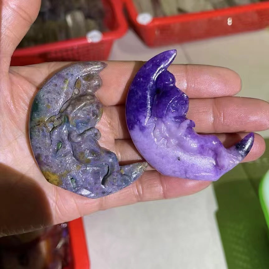 Moon Mermaid, prezo per komputilo
