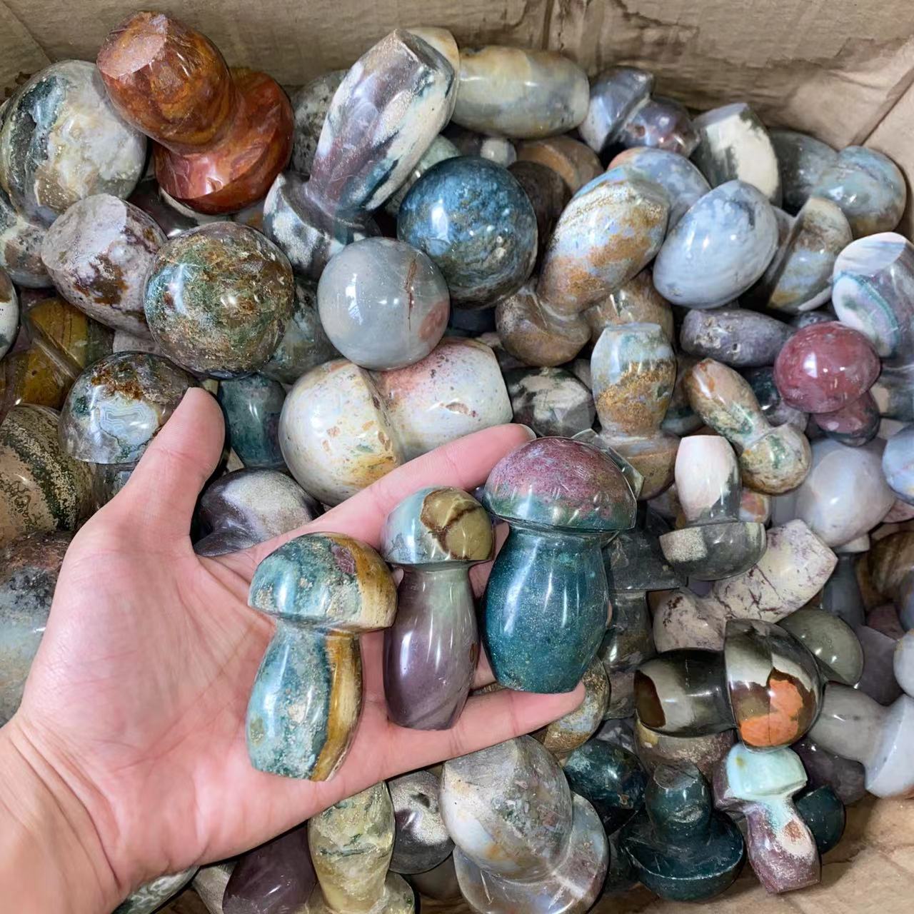 Ocean Jasper Mushrooms, price by kg