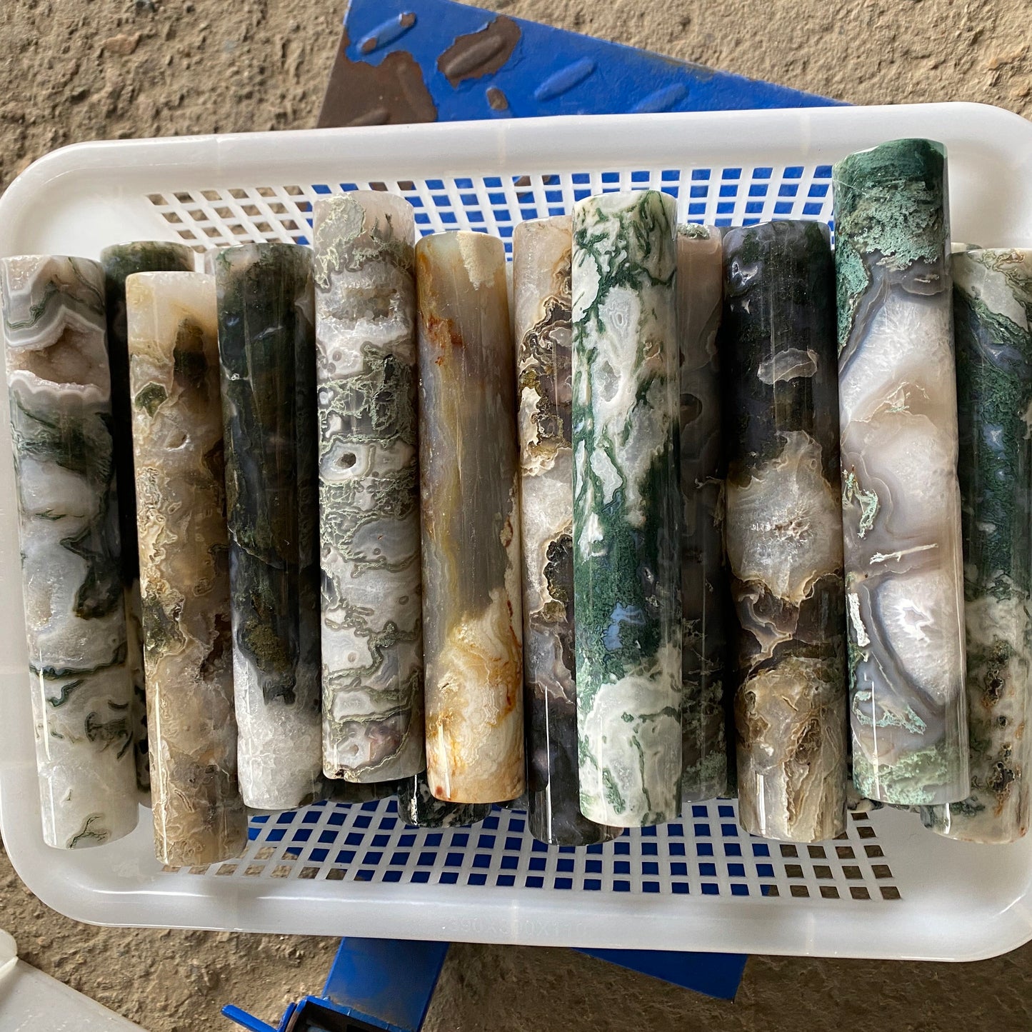 Muskagato cilindro, turo, prezo per kg