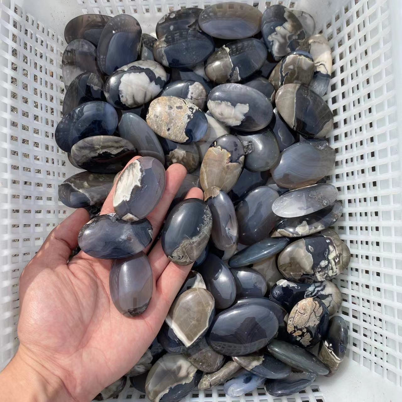 Volcanic Agate Palm Stone, price by kg