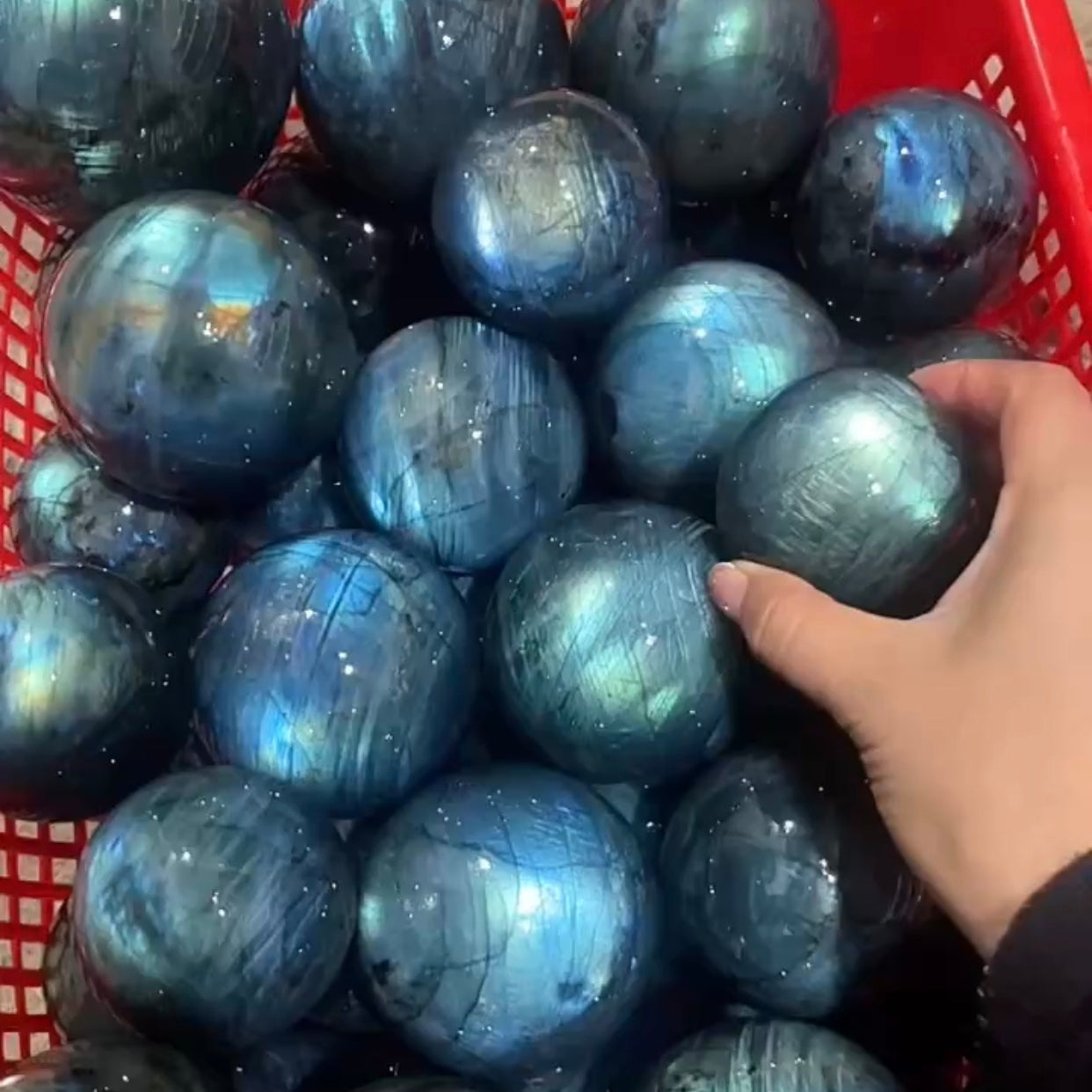 Labradorite spheres S, price by kg