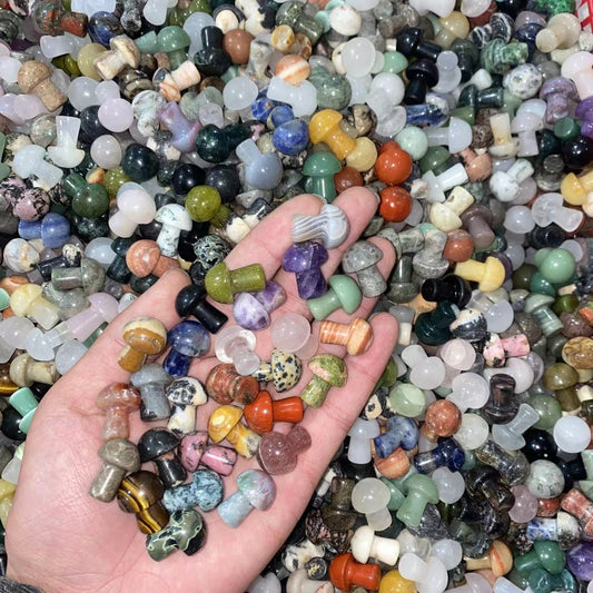 Mixed material Mushroom 20mm, price by kg